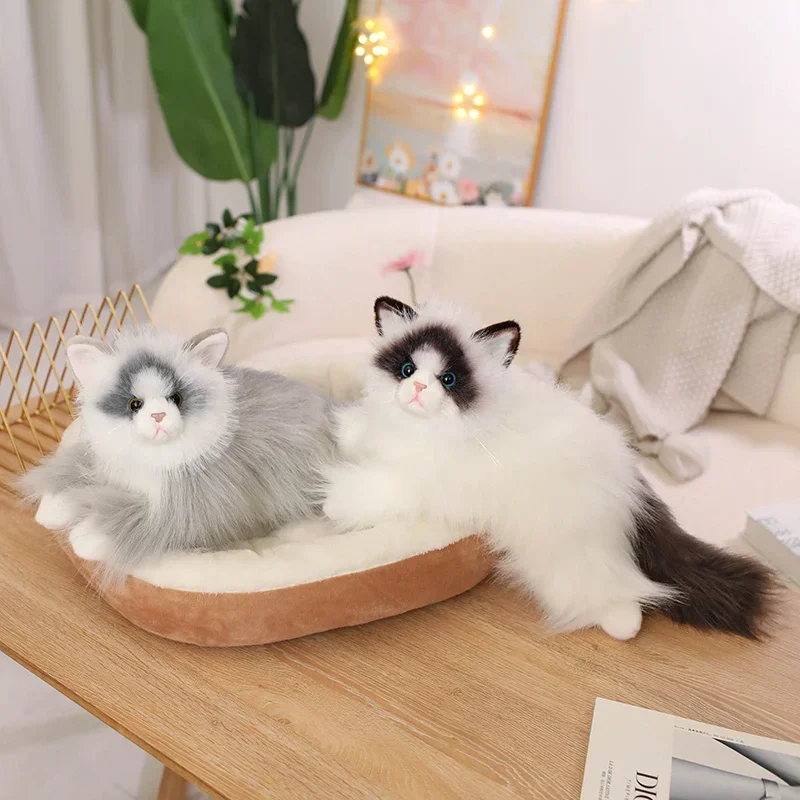 Realistische Ragdoll Cat Knuffeldier Kat Pop Voor Cat Lovers Kinderen Meisjes Kat