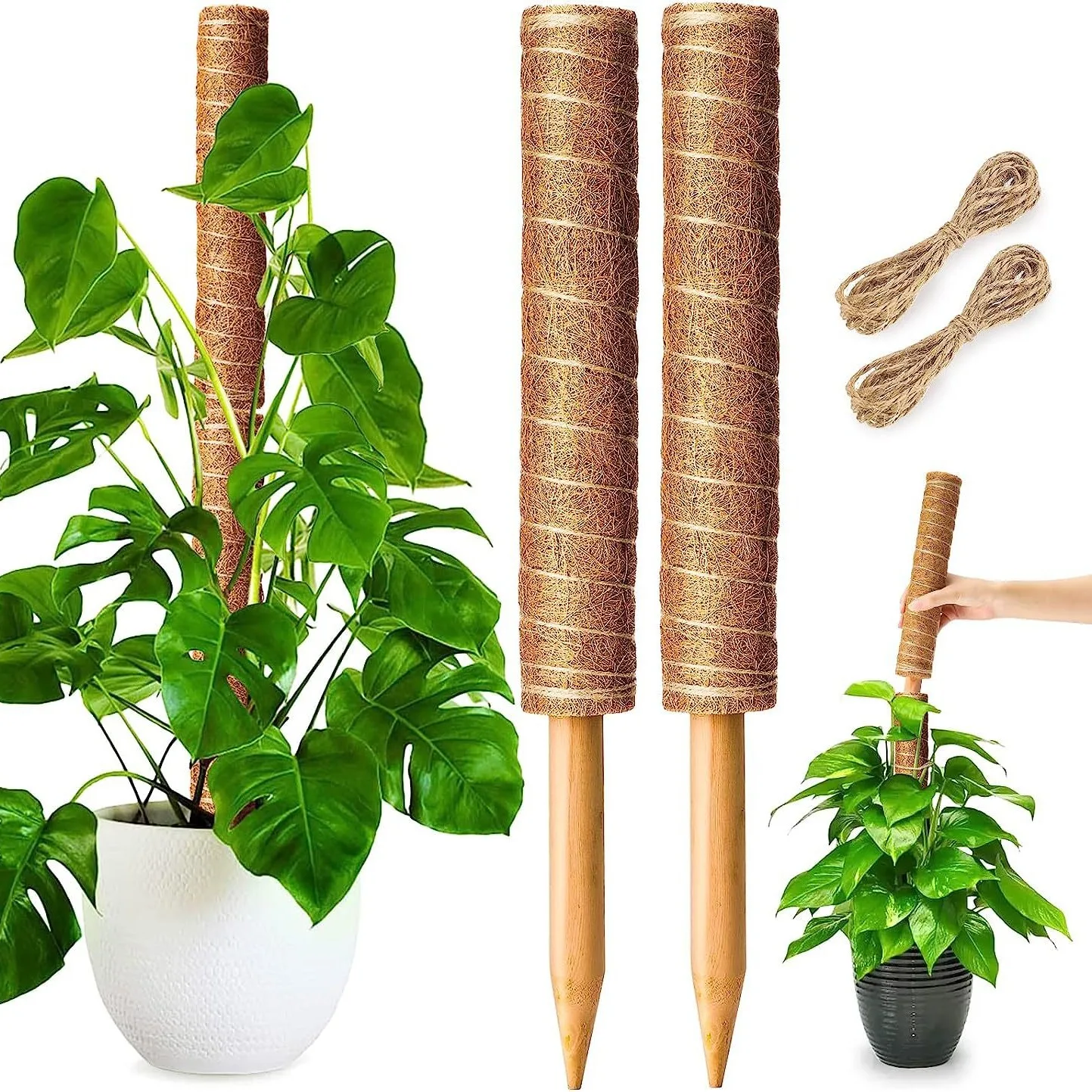 Horticultural Coconut Palm Stick Green Luo Potted Plant Fixed Plant Climbing Rod Support Coconut Palm Climbing Rod Moss Rod