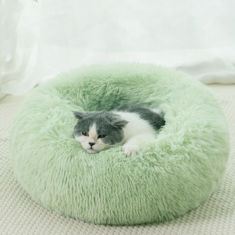 fruit green