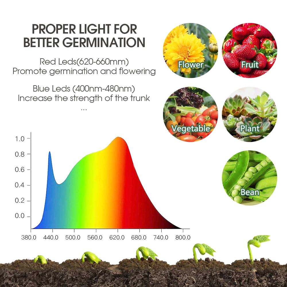 Enhanced Seed Starter Tray with LED Grow Lights and Humidity Control Dome