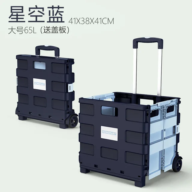 Dark Blue 65L