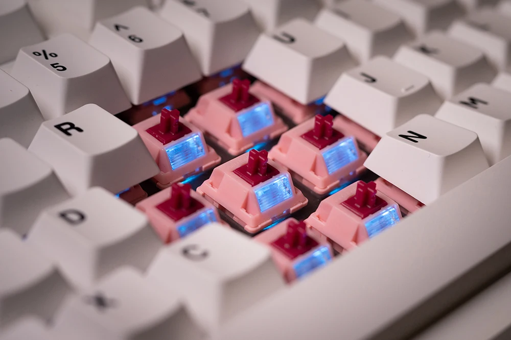 Computers e Electronics