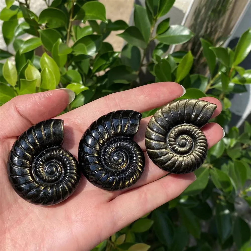 1pc Gold Obsidian Carving, Conch, Crystal Carving, Spiritual Symbol, Healing Crystal, Crystal Collection, Gift, Home Decor 5