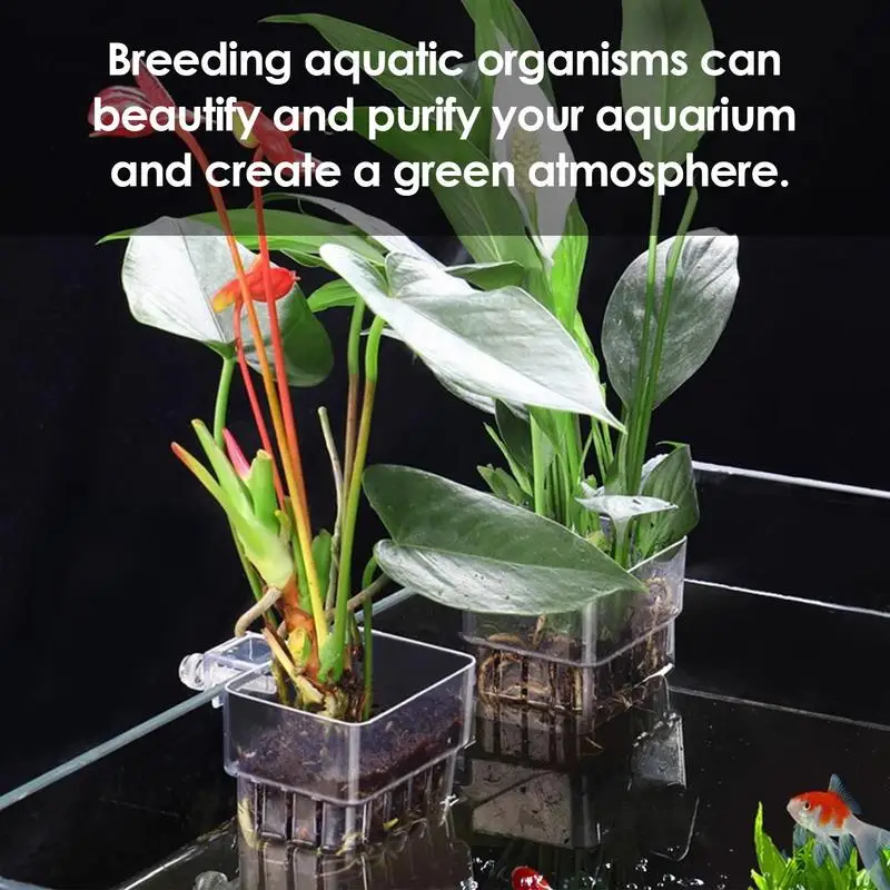Fish Tank Plant Holder Transparent Aquarium Plant Basket Hydroponic Planting Basket for Landscape aquarium plant holder