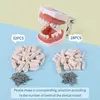 Kilgore NISSIN 200 Type Dental Teeth Models for Typodont Removable Frasaco Columbia Dentoform Teeth Model 4