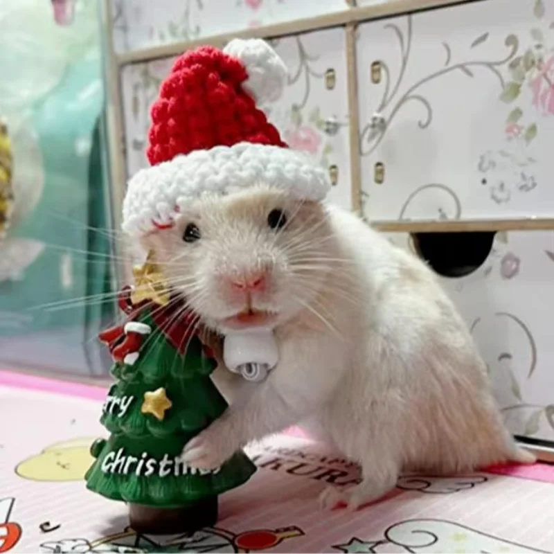 Christmas Bird Hat Small Animals Lovely Hand Knitted Hats for Hamster Lizard Guinea Pig Reptile Party Clothes Costume Pet Caps small animal clothes pet headgear