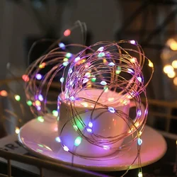 Enchanting LED String Lights - Copper & Silver Wire Garland for Home & Holiday Décor (Multicolor)