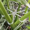 4 Plastic Plant Support Clips, Transparent Green Vine Climbing Frame, Adjustable Plant Stem Clips for Fixing and Upright Growth 2