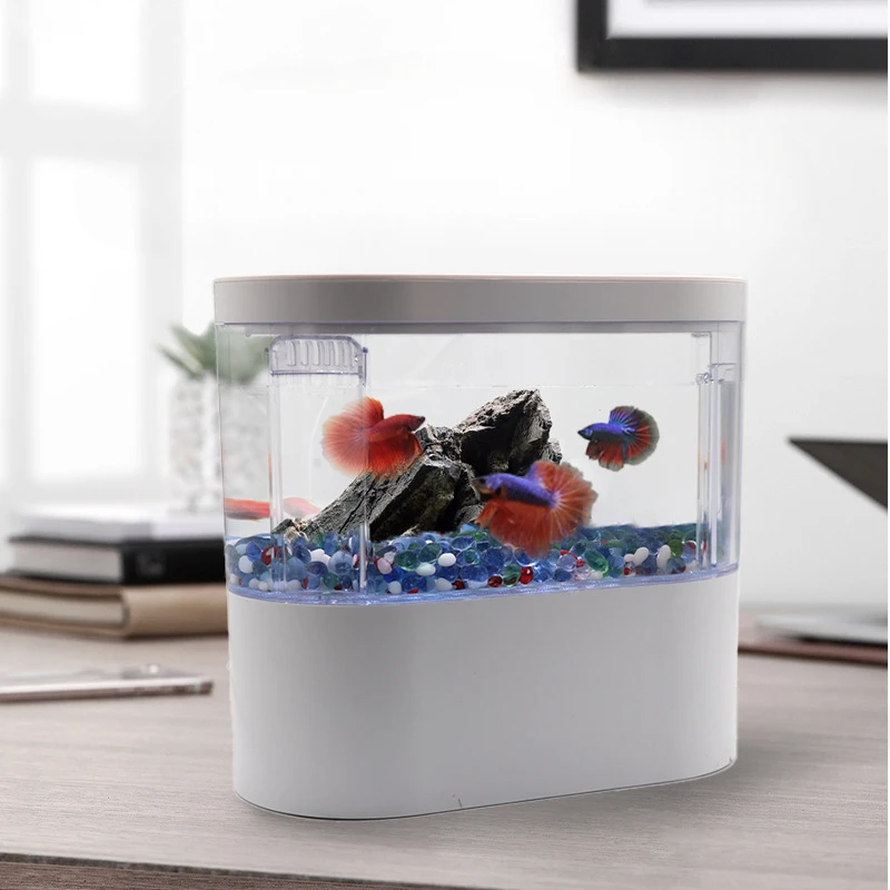 Desktop Mini Aquarium Fish Tank with Biochemical Filtration System and LED Light Betta Fish Ecological Water Cycle