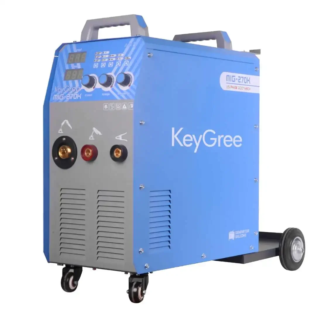 15kg Wire Acceptable Inverter Igbt Portable Tig Mma Mig Gas Gasless Co2 Welder 2