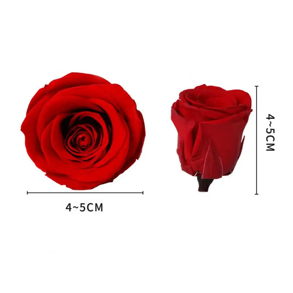 8 Pcs Eternal Rose Flowers Vibrant Color Natural-Looking Blossom Handmade Preserved Flower Fresh Dried Rose Immortal Ornament