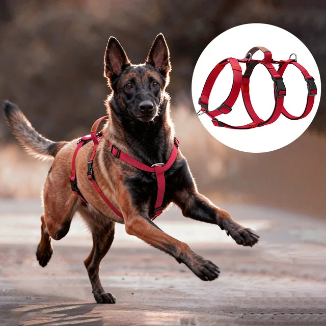 Escape-Proof Nylon Dog Harness with Handle Adjustable No-Pull Pet Harness for Medium Large Dogs Golden Retriever Husky Supplies 1