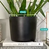 9 Inch Ceramic Plant Pot - Matte White with Gold Stripes - Drainage Plug Included 6