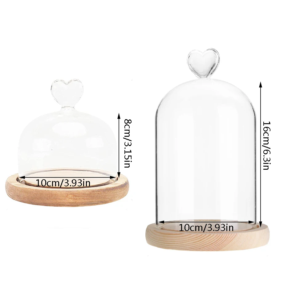 Glass Dome Bell Jar Cloche Display Jar With Wooden Base Dust Cover Home Decor Bedroom Desk Ornaments For Home Christmas Party 2