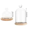 Glass Dome Bell Jar Cloche Display Jar With Wooden Base Dust Cover Home Decor Bedroom Desk Ornaments For Home Christmas Party 2
