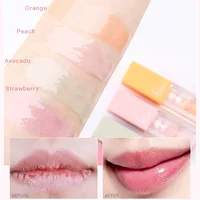 4Pcs/Set Hydrating Lip Glaze Transparent Jelly Lip Plumping Long Lasting Moisturizing Lip Care Make Up Liquid Big Lip Brush 2