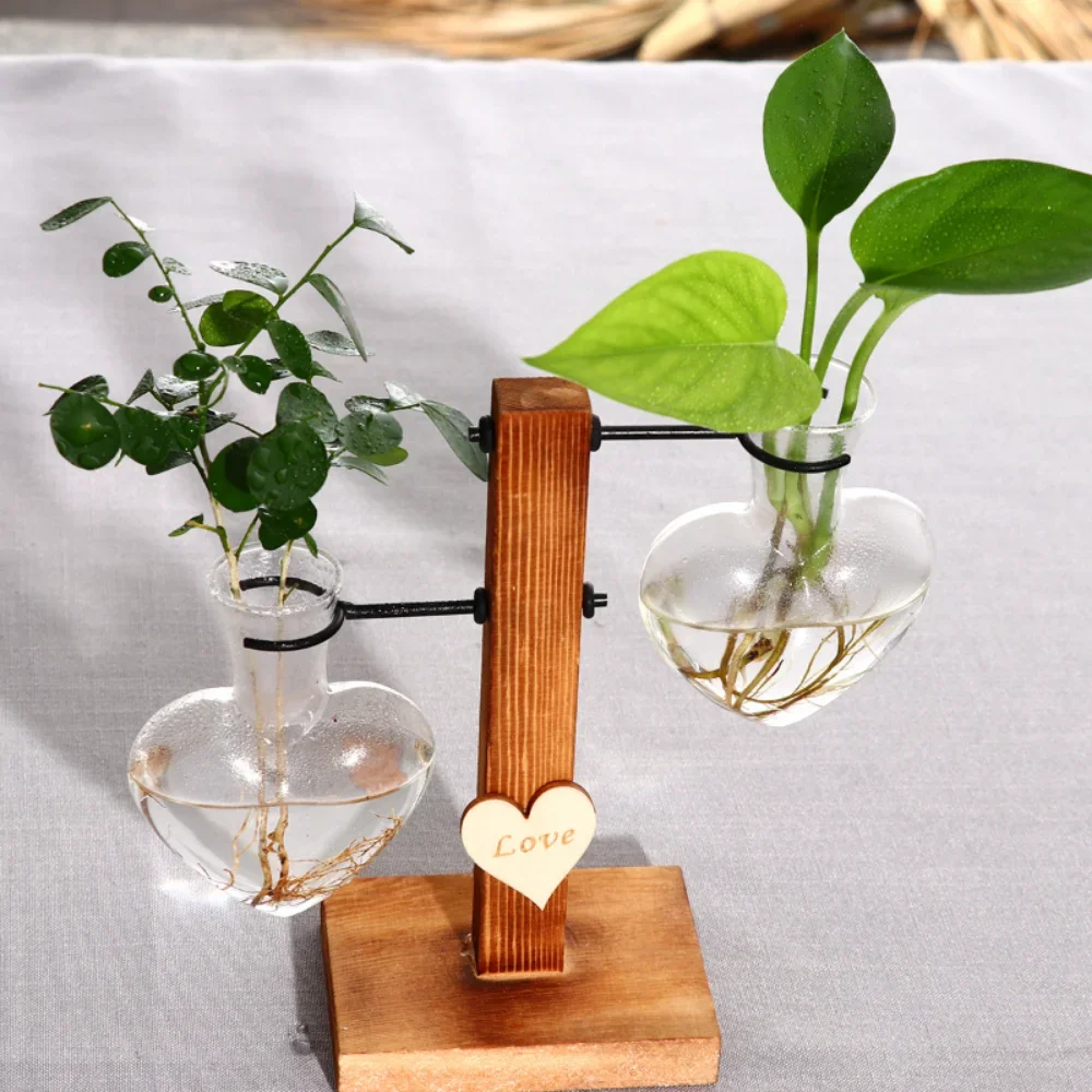 Vintage Glass Bulb Terrarium: Hydroponic Desktop Plant Vase