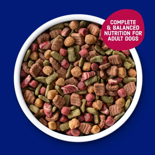 Kibbles 'n Bits Bistro Oven Roasted Beef, Vegetable and Apple Flavors Dry Dog Food, 16 lb. - Image 3