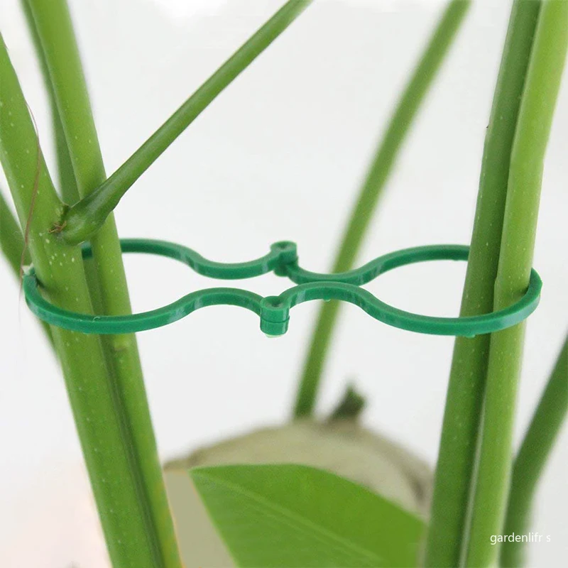 Plant Ties Plastic Plant Cable Ties Plastic Plant Supports Plant Clips Plastic Plant Clips Plant Climbing Support Plant Stem Support Plant Support Stick Plant Support Connector Plant Support Racks 20/50/100Pcs Plastic Garden Vine Strapping Clips Tie Buckle Ring Hook