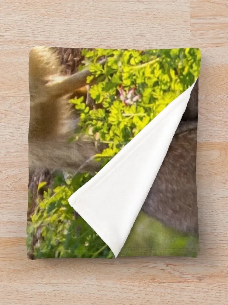 Ļ�ŷ� ������ ���, ��� ���� �� ���