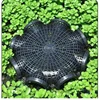Black Fish Net Cage Fishnet Finless Eel Loach Trap Fishing Pot Durable Plastic Container Mud Cage Container Fishing Traps 2