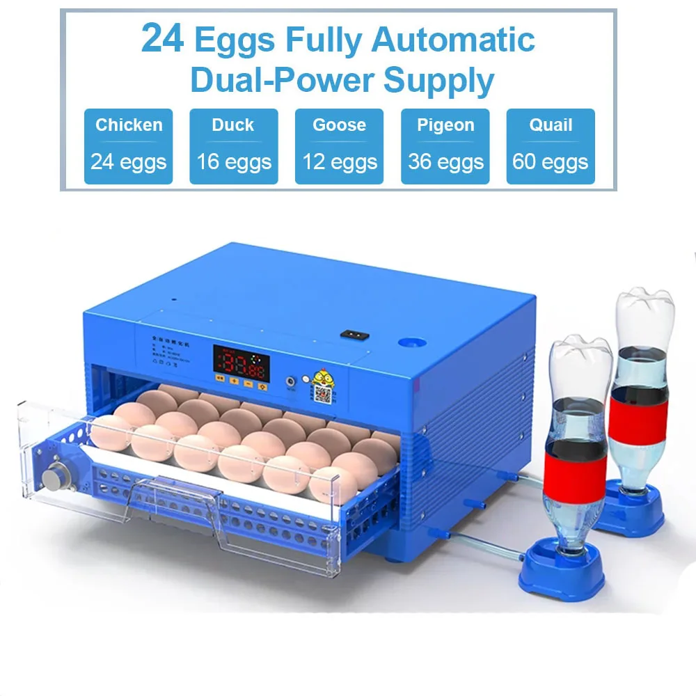 Физическое состояние яиц