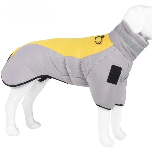 grayish-yellow