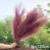 70-120cm Artificial Pampas Grass Branch Fake Bulrush Fake Plant Flowers Reed Pantas Wedding Party Home Decoration DIY Bouquet 13