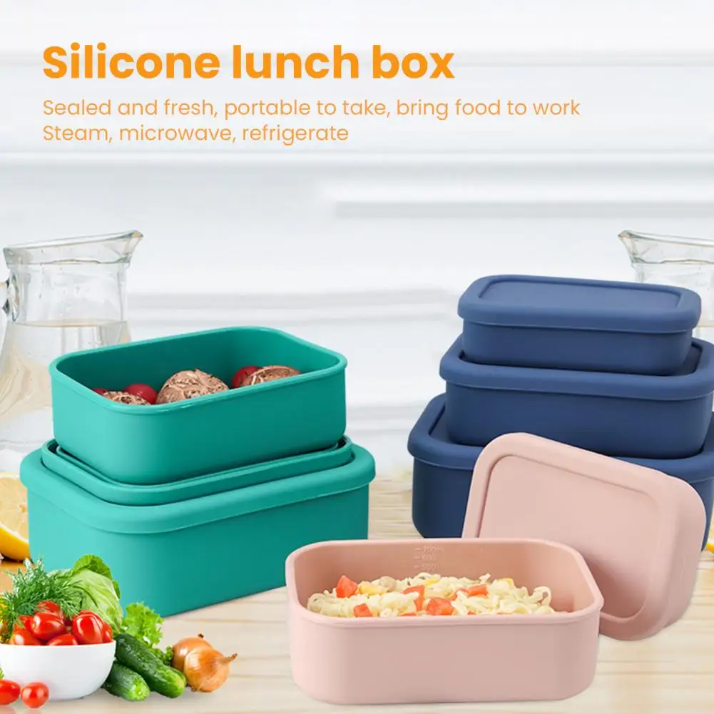 Silicone Nordic Storage Organization American Custom Picnic Travel Bento  Compartment Lunch Box Kid Adult Seal Ring with Logo - China Silicon and Bento  Box price