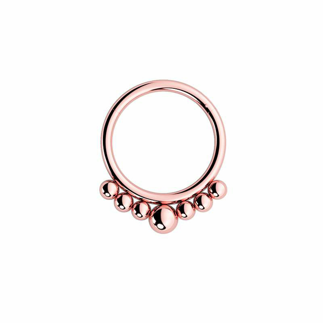 Nose Ring Hoop Septum Piercing Hinged Segment Clicker Surgical Steel Ear Cartilage Earrings Tragus Helix Daith Body Jewelry