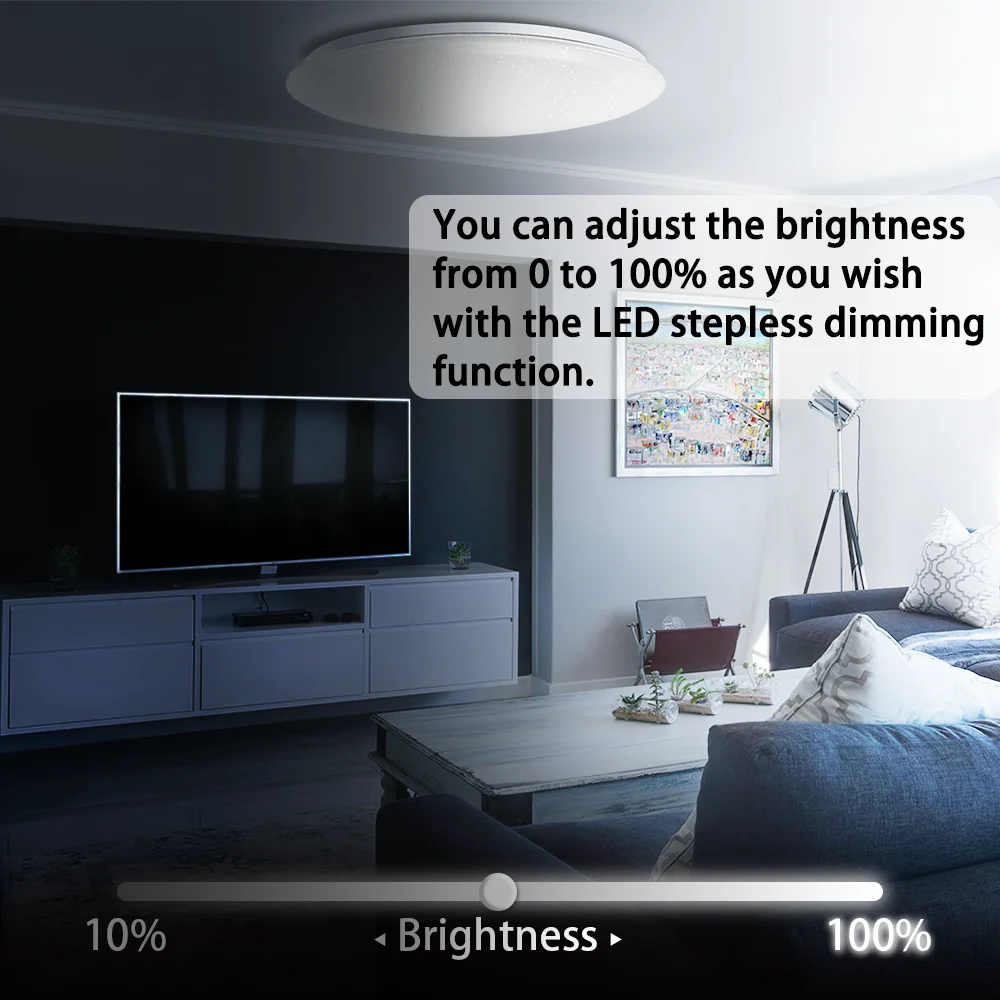 LED Ceiling Lights With Bluetooth Speaker RGB Voice Control Smart Ceiling Lamps For Bedroom Living Room Work With Alexa Google
