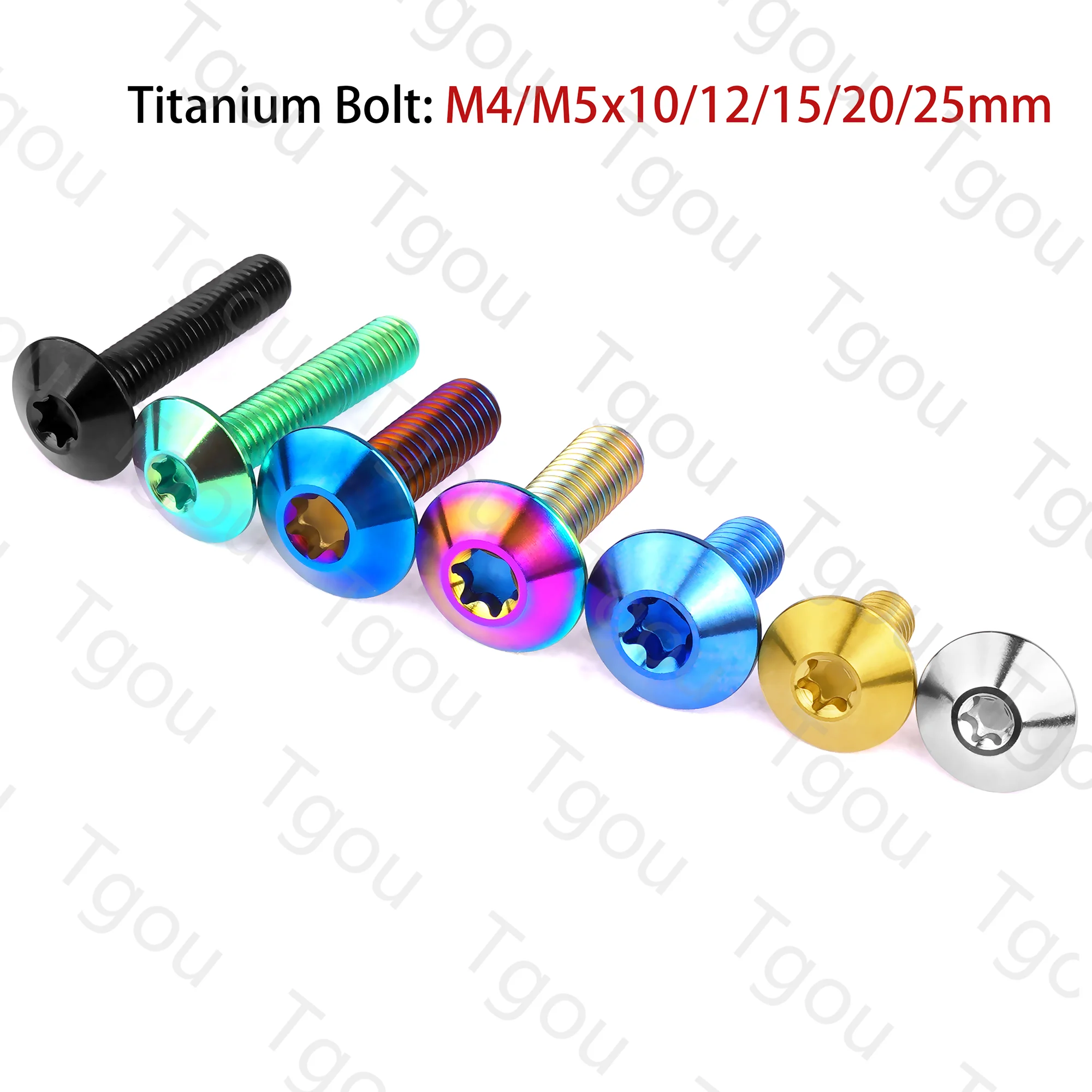 HOUSON 12 x viti a disco in titanio M5 x 10 TORX T25