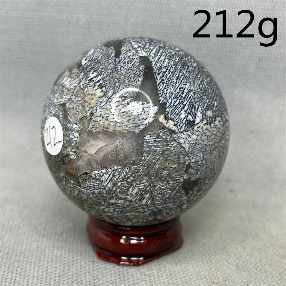 Brazilian Bone Agate Crystal Ball Simbiotosi Jurassic Dinosaur Black Skeleton Home Room Decoration Regalo Di Festa Crystal Healing