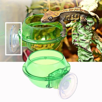 Arboreal Rettile Live Anti-fuga Ventosa Ciotola per mangiatoia Insetto Verme Contenitore per alimenti per lucertola Gecko Camaleonte Rettile Ciotola per animali domestici