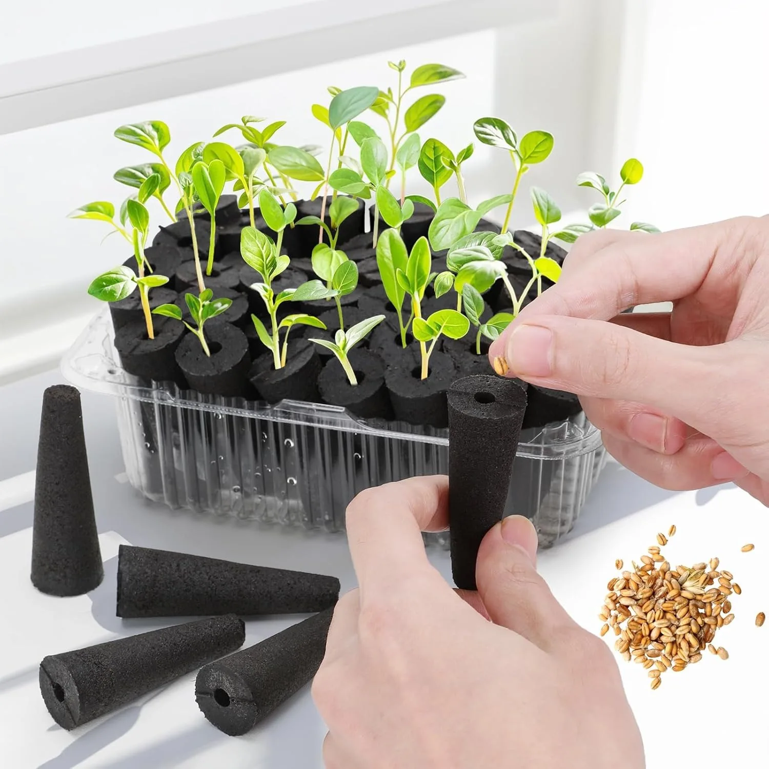Hydroponic Pods Kit: 50 Grow Sponges with Labels