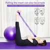 Home Gym Resistance Band Set, Abdominal Exercise Equipment, Rowing Machine Accessories, Enhance Strength and Flexibility! 5