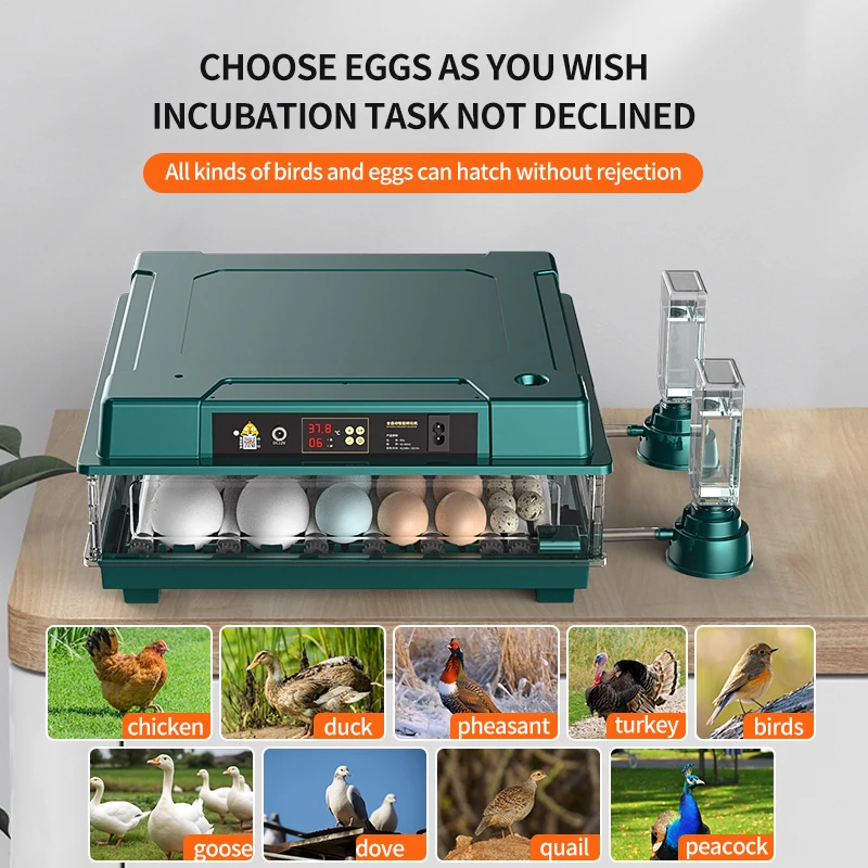 Egg Incubator 30 Eggs with Egg Candler Automatic Turning Days Display Bring water bottle for Hatching Chicken Duck Quail Bird Eggs egg incubator egg candling lamp