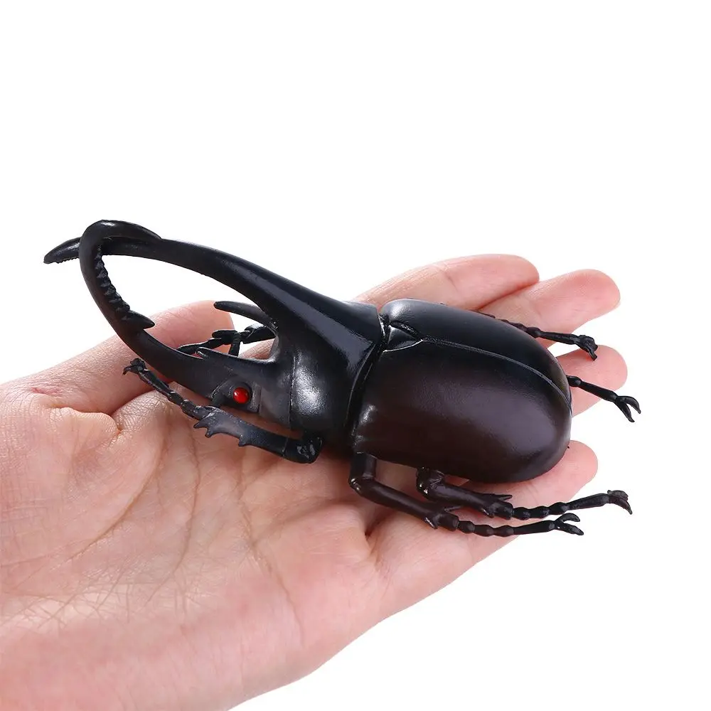 

Props Fake Beetle Simulation Animals Joke Toys Insect Toy Beetle Toys Simulation Beetle Special Lifelike Model Insect Model