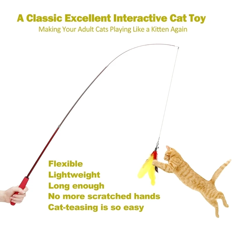 https://ae01.alicdn.com/kf/S99a80b4420934997828129ee5d3c942bZ/13pcs-Cat-Wand-Toy-Accessories-Worms-Feathers-Replacement-Heads-Wand-Refills-Cat-Toy-Attachments-Wand-Refills.jpg