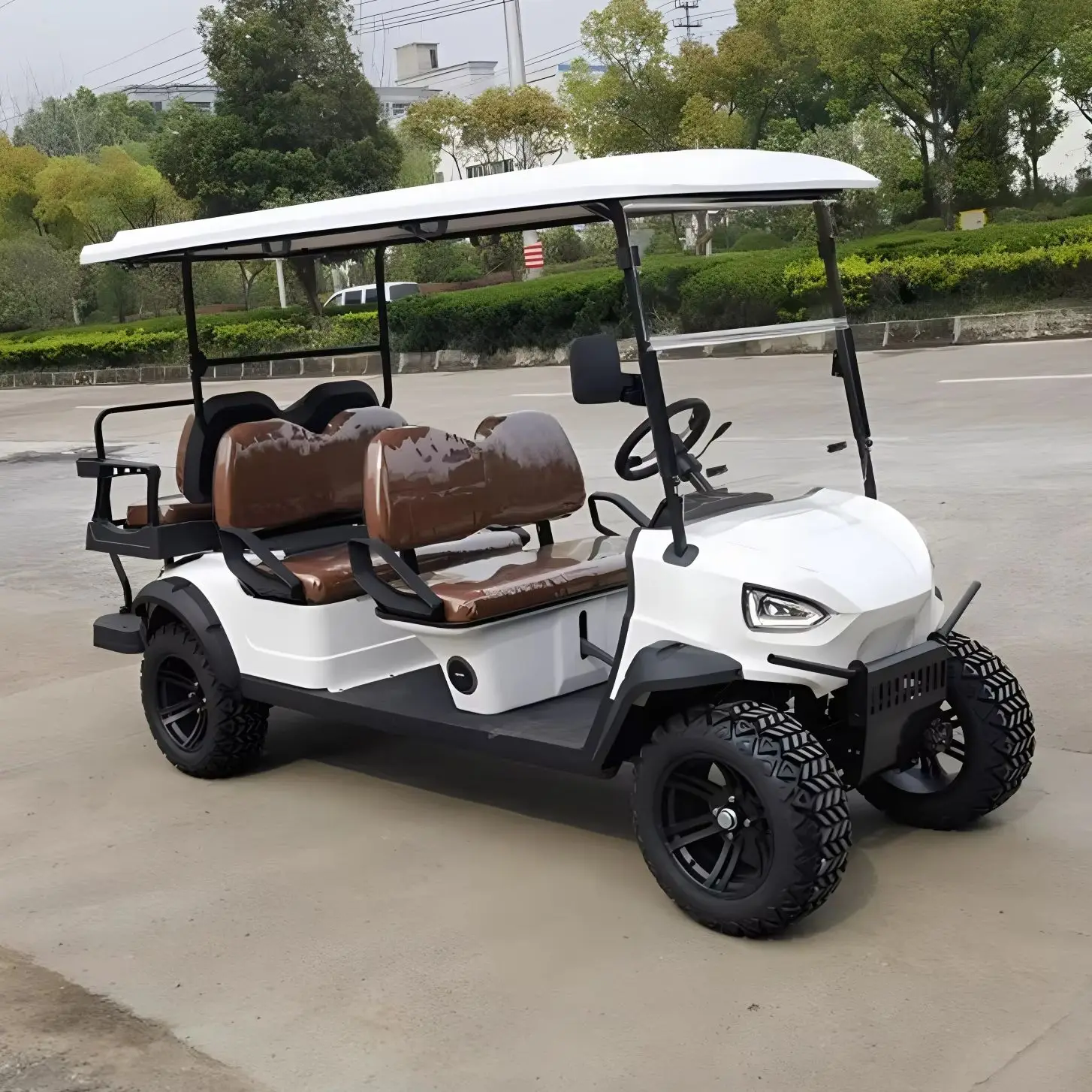 High performance newly designed beach club car EEC certified sightseeing Buggy 8-seater 4-seater electric golf cart