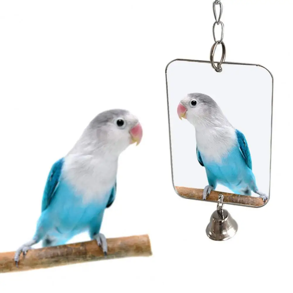 Bird Toy Mirror Bell Portable Acrylic Play Toy Cage Decoration Pet Mirror for Pet