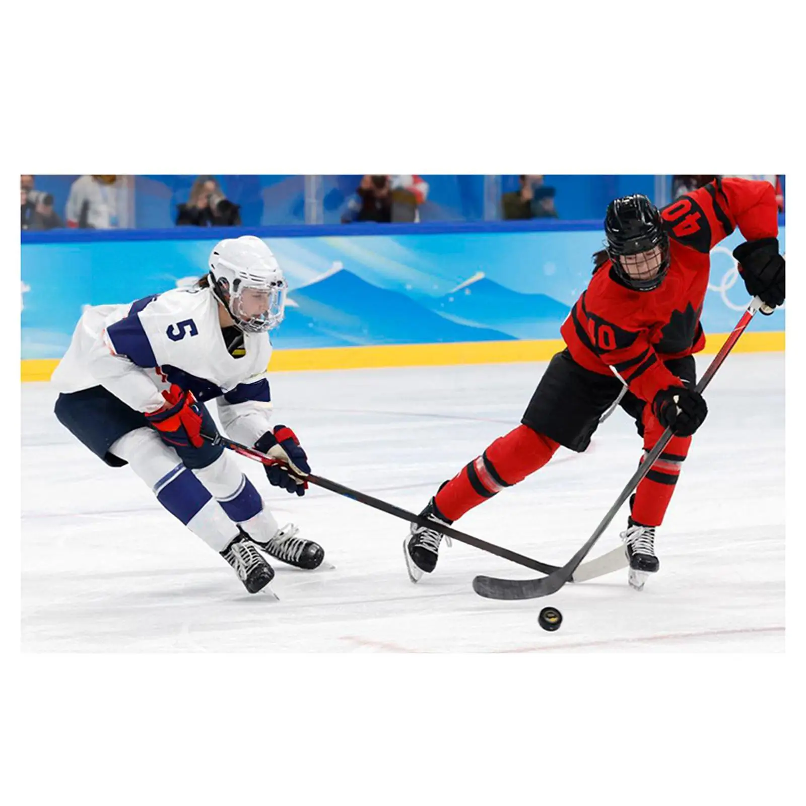 Hockey Helmet Ice Skate Helmet with Chinstrap Hockey Headgear Adults Equipment Sports Helmet for Game Dryland Hockey Practice 6