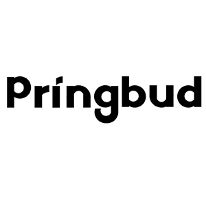 Pringbud Store