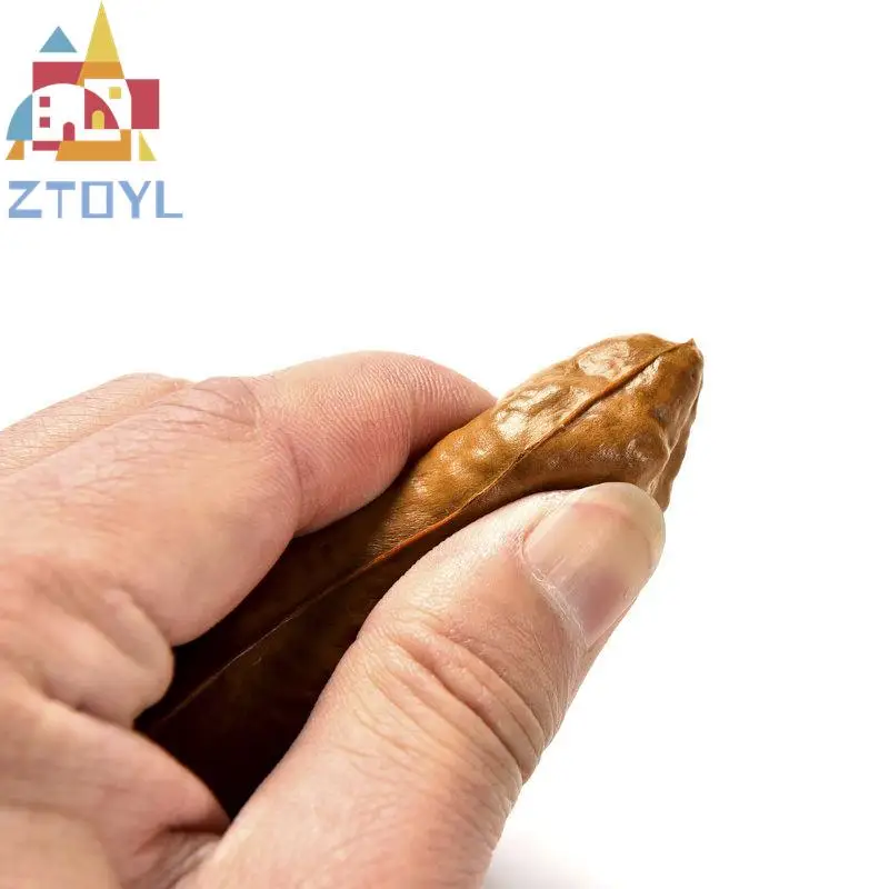 Рисунок 6 - ZTOYL удивительная дерьма кляп