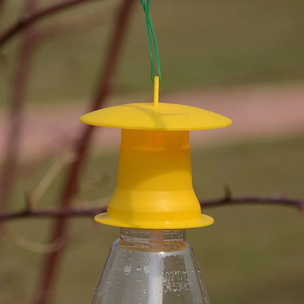 DEAD-INN Stink Bug Trap