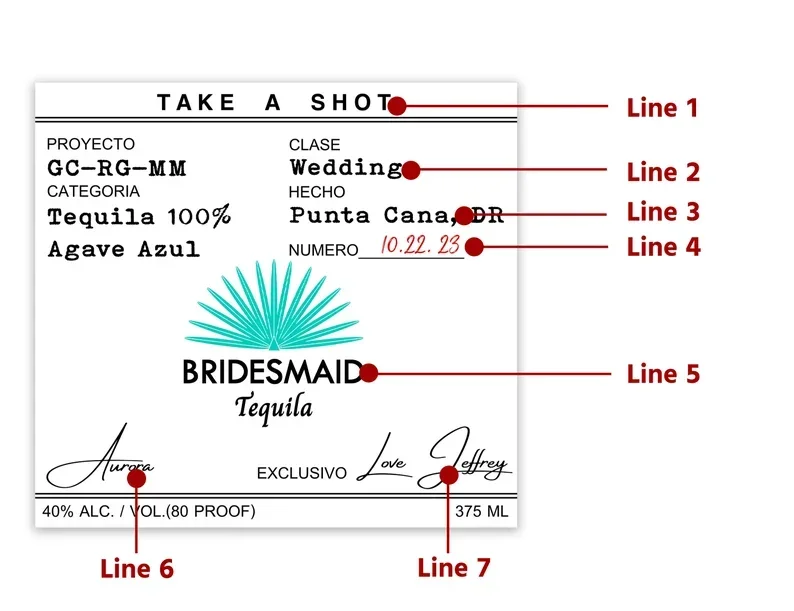 Personalized Birthday Casamigos Labels 50ml Birthday Favors Tequila Shot Label 30th Bridesmaid Gift Fiesta Maid Of Honor label stickers