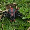 Infrared RC Animal Remote Control Animals Insect Cockroach Spider Ant Ladybug Simulation Prank Jokes Dinosaur Toys Kit for Boys 4