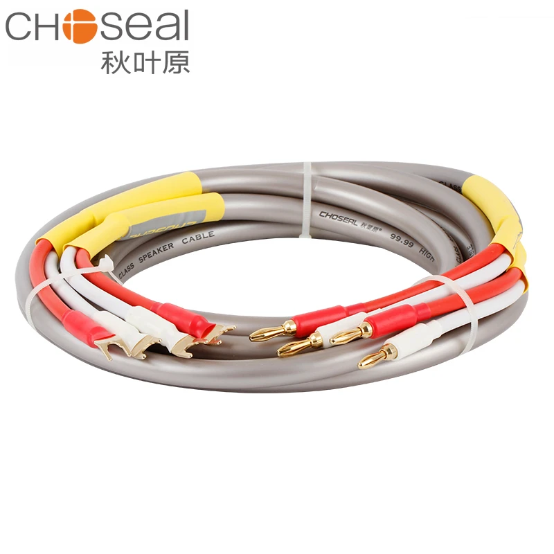 CHOSEAL HIFI Speaker Wire Audio Line with Banana Plug Surround Sound