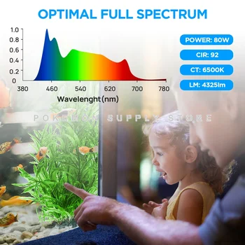 Lominie-Asta 120 Aquarium Light 5