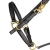All Weather Trail Halter for Horses/Bridle Combo: Nylon Black Quick-Release Buckles UV-Resistant Material for Versatile Riding